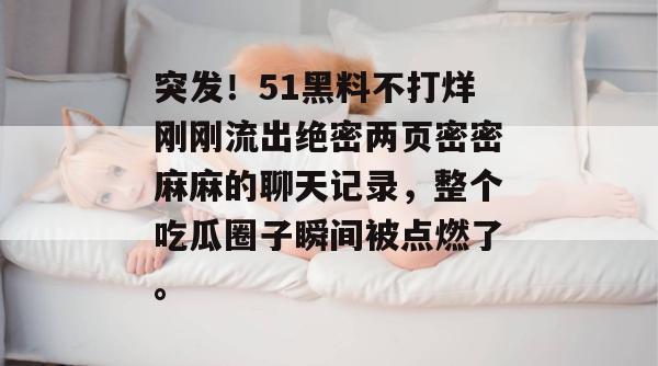 突发！51黑料不打烊刚刚流出绝密两页密密麻麻的聊天记录，整个吃瓜圈子瞬间被点燃了。